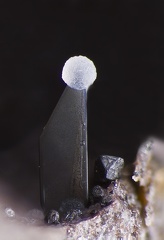 Hématite - Puy de Tunisset - Saint-Ours - Puy-de-Dôme