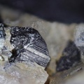 n°115083 - Wolframite Andalousite - Leucamp - Cantal