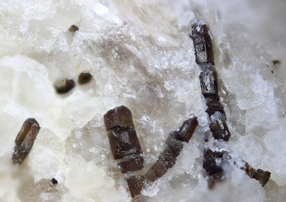 n°158027 - Schorl - Neuchaise - Empury - Nièvre