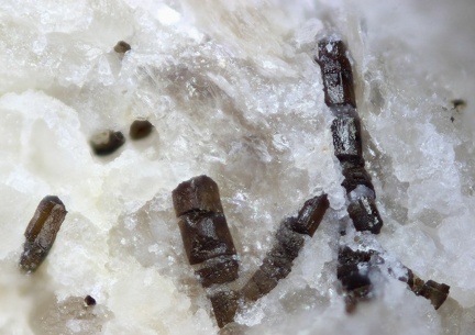 n°158027 - Schorl - Neuchaise - Empury - Nièvre