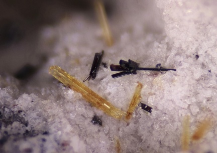 n°163282 - Pseudobrookite Fluoro-édénite -Ravin des Chèvres - Le Mont Dore - Puy-de-Dôme 