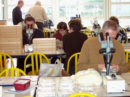 Rencontre AFM Nantes 02-2004  (6)