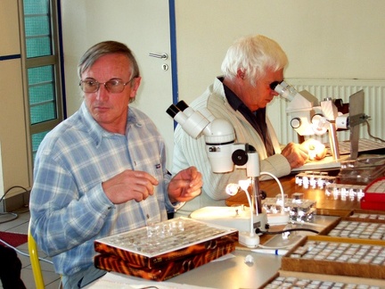 Rencontre AFM Nantes 02-2004  (7)
