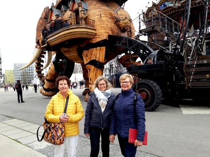 Rencontre AFM Nantes 03-2019  (1)