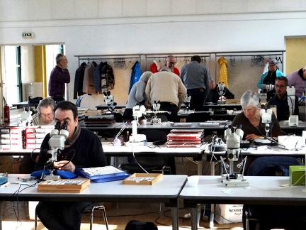 Rencontre AFM Nantes 03-2019  (5)