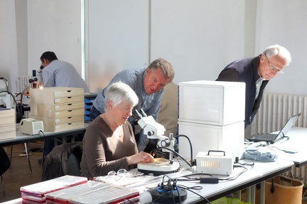 Rencontre AFM Nantes 03-2019  (12)