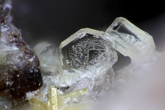 Roedderite  - Mont Denise - Espaly-Saint-Marcel - Le Puy-en -Velay -  Haute-Loire