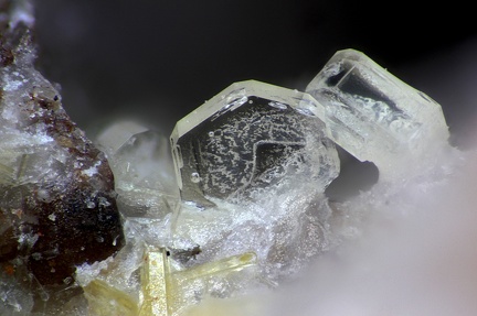 Roedderite  - Mont Denise - Espaly-Saint-Marcel - Le Puy-en -Velay -  Haute-Loire