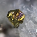n°171128 - Chalcopyrite(1) - L'Argentolle (mine) - Saint Prix - Saône et Loire