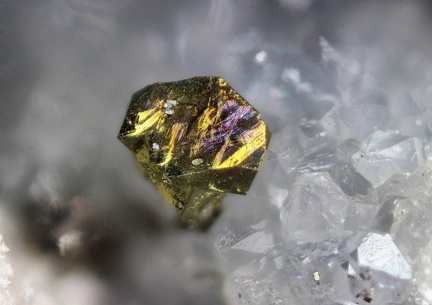 n°171128 - Chalcopyrite(1) - L'Argentolle (mine) - Saint Prix - Saône et Loire