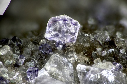Fluorite - La Mouzinière - Château d'Olonne - Les Sables-d'Olonne - Vendée