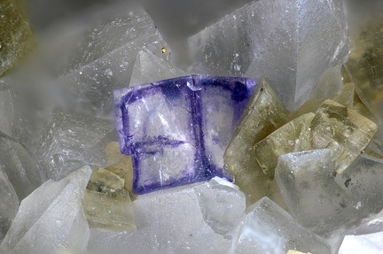 Fluorite - La Mouzinière - Château d'Olonne - Les Sables-d'Olonne - Vendée