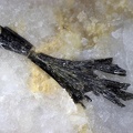 n°173104 - Actinolite(1) - Lac Fées - Croix du Berger - Arêches-Beaufort - Savoie 