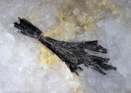 n°173104 - Actinolite(1) - Lac Fées - Croix du Berger - Arêches-Beaufort - Savoie 