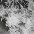 Celestine - Gypse - Barmes  - Bramans - Val-Cenis - Savoie