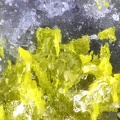 Orpiment - Barmes -  Bramans - Val-Cenis - Savoie