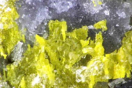 Orpiment - Barmes -  Bramans - Val-Cenis - Savoie