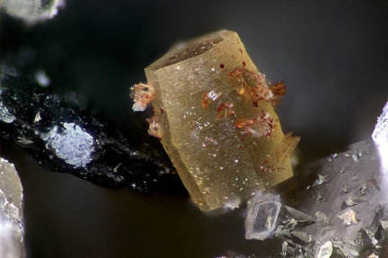 Synchisite - Mont-Cenis - Val-Cenis  - Savoie 