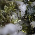 n°198023 - Epidote -Ca -  Vallée de la Papenoo -Tahiti - Polynésie-Française