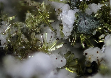 n°198023 - Epidote -Ca -  Vallée de la Papenoo -Tahiti - Polynésie-Française