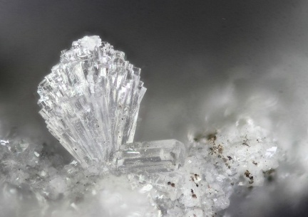 n°198029 - Erionite -  Vallée de la Papenoo -Tahiti - Polynésie-Française
