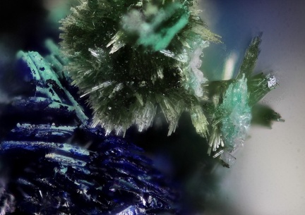 n°168093 - Olivénite Azurite - Gulden-Asel - Mines d'Osenbach - Osenbach - Haut-Rhin