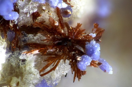 Bermanite  Strengite - Pegmatite field -  Massif des Albères - Collioure - Céret - Pyrénées-Orientales