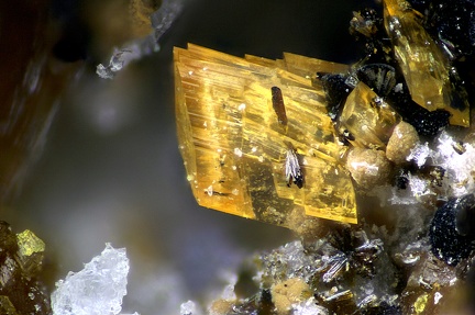 Laueite  - Pegmatite field -  Massif des Albères - Collioure - Céret - Pyrénées-Orientales 