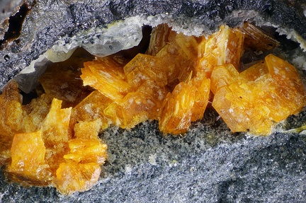 Bazhenovite - Lapanouse-de-Sévérac - Sévérac-d'Aveyron - Rodez - Aveyron