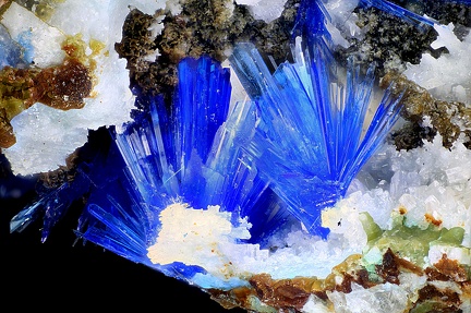 Linarite - Puechiguier - Najac - Villefranche-de-Rouergue - Aveyron - SL - Champ 4,5mm