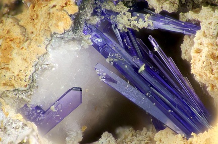 Elyite - Bréziès - Asprières - Villefranche-de-Rouergue - Aveyron