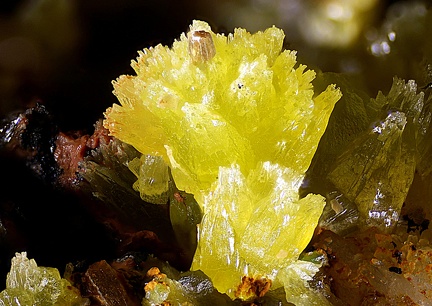 Pyromorphite - Criox Saint-Roch -  La Vidale mine - Asprières - Villefranche-de-Rouergue - Aveyron 