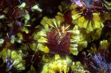 Cacoxenite  Eleonorite - Fumade - Castelnau de Brassac - Fontrieu - Castres - Tarn