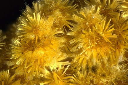 Cacoxenite - Fumade - Castelnau de Brassac - Fontrieu - Castres - Tarn