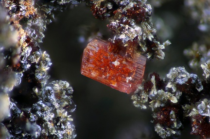 Eleonorite  Beraunite - Fumade - Castelnau de Brassac - Fontrieu - Castres - Tarn