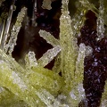 Pyromorphite  Plumbogummite - Fumade - Castelnau de Brassac - Fontrieu - Castres - Tarn
