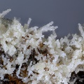 Pyromorphite  Plumbogummite - Fumade - Castelnau de Brassac - Fontrieu - Castres - Tarn