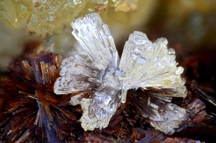 Wavellite  Eleonorite - Fumade - Castelnau de Brassac - Fontrieu - Castres - Tarn  