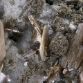 Brookites  Rutile - La Biettaz - Celliers -  Massif de la Lauzière - Savoie