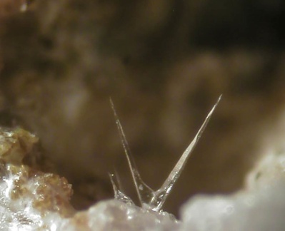 Quartz  (paramorphes après quartz-beta) - Mont Denise - Espaly-Saint-Marcel - Le Puy-en -Velay - Haute-Loire
