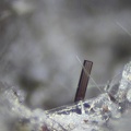  Pseudobrookite - Puy de Vivanson - Perpezat - Puy de Dôme