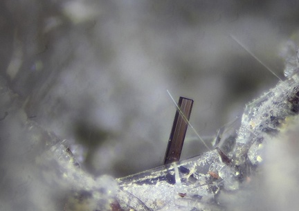  Pseudobrookite - Puy de Vivanson - Perpezat - Puy de Dôme