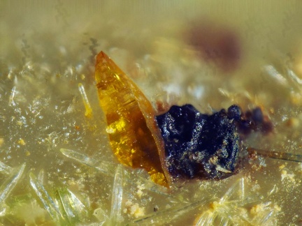 n° 107048 - Wulfenite - La Joie (mine) - St Cierge la Serre - Ardèche 
