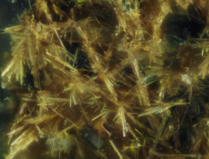 n°166073 - Parascholzite - Font Andreu - Argelès-sur-mer -  Pyrénées-Orientales