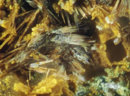 n°166076 - Schoonerite - Font Andreu - Argelès-sur-mer -  Pyrénées-Orientales