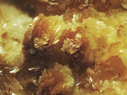 n°120028 - Sidérite - Mine de Pastina - Méria - Haute-Corse 
