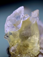 Calcite - la Saucière - Les Portes en Ré - Charente-Maritime