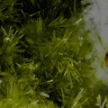 Andradite Epidote - Bras de cilaos - Le Pavillon - Cilaos - La Réunion