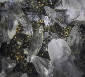 Calcite Pyrite - Falaise d'Yves - Yves - Charente-Maritime