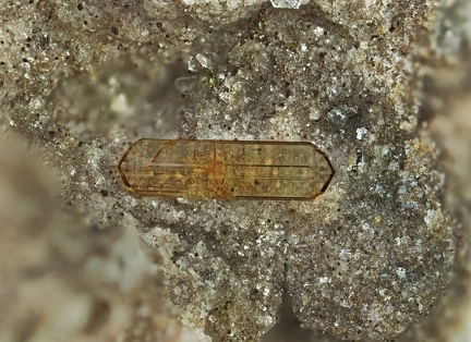 Enstatite - Puy de la Tache - Mont-Dore - Puy de Dôme